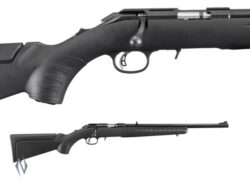 Ruger American .22