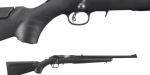 Ruger American .22
