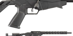 Ruger Precision .22