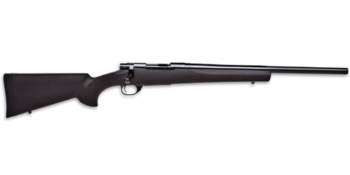 Howa 1500 Varmint Blued
