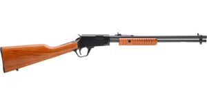 Rossi Pump .22