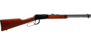 Rossi Rio Bravo .22Lr