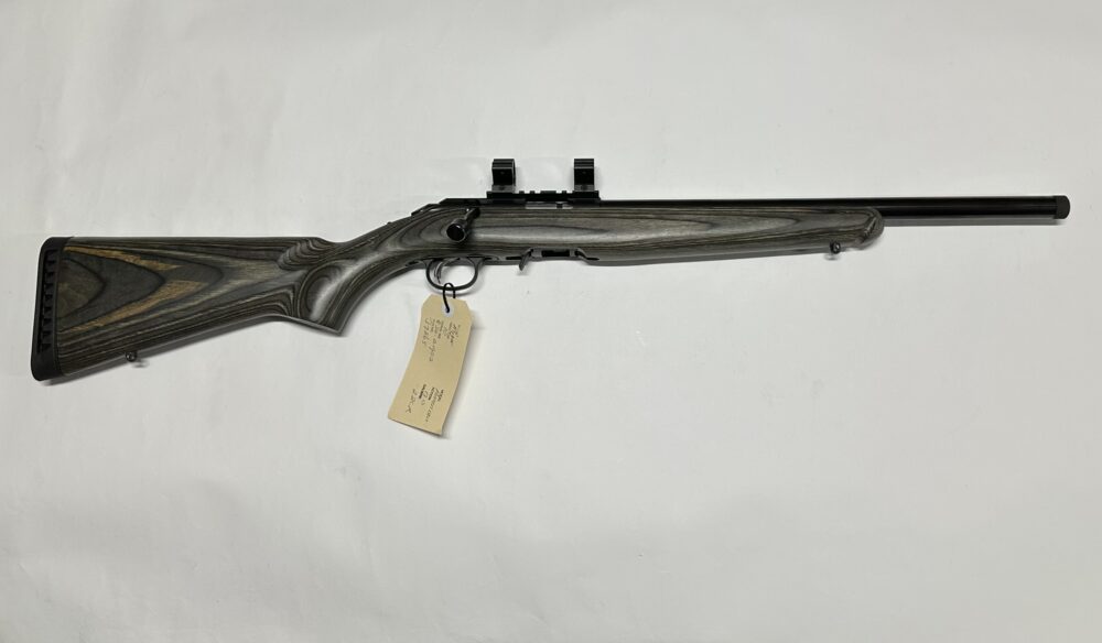 Ruger American .22